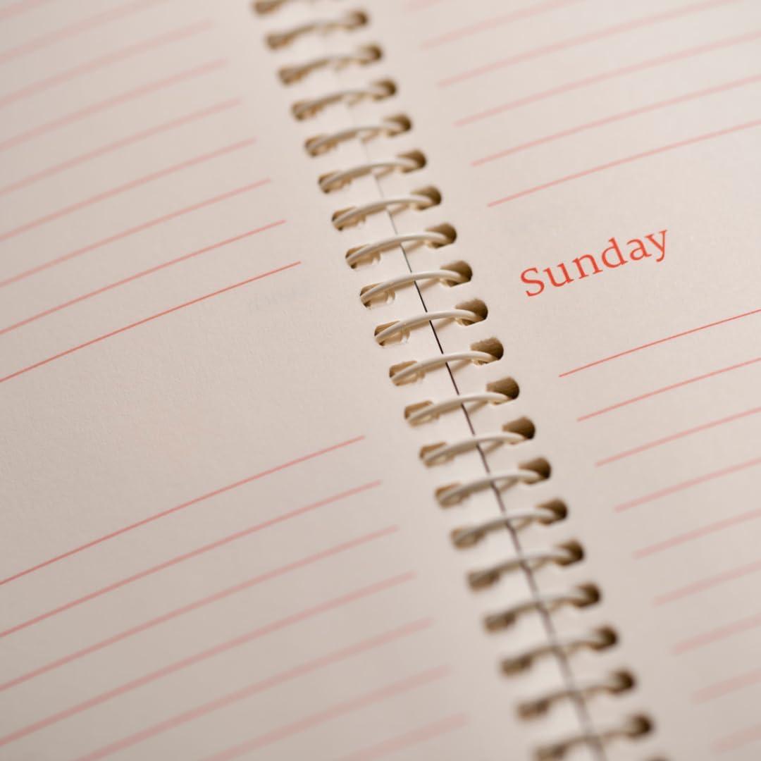 image:imageThe Economist 2026 Desk Diary DayaPage Planner Red